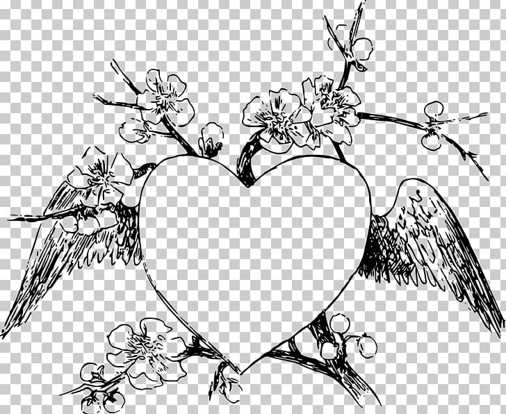 Frames Heart Line Art PNG, Clipart, Artwork, Beak, Bird, Black And White, Branch Free PNG Download