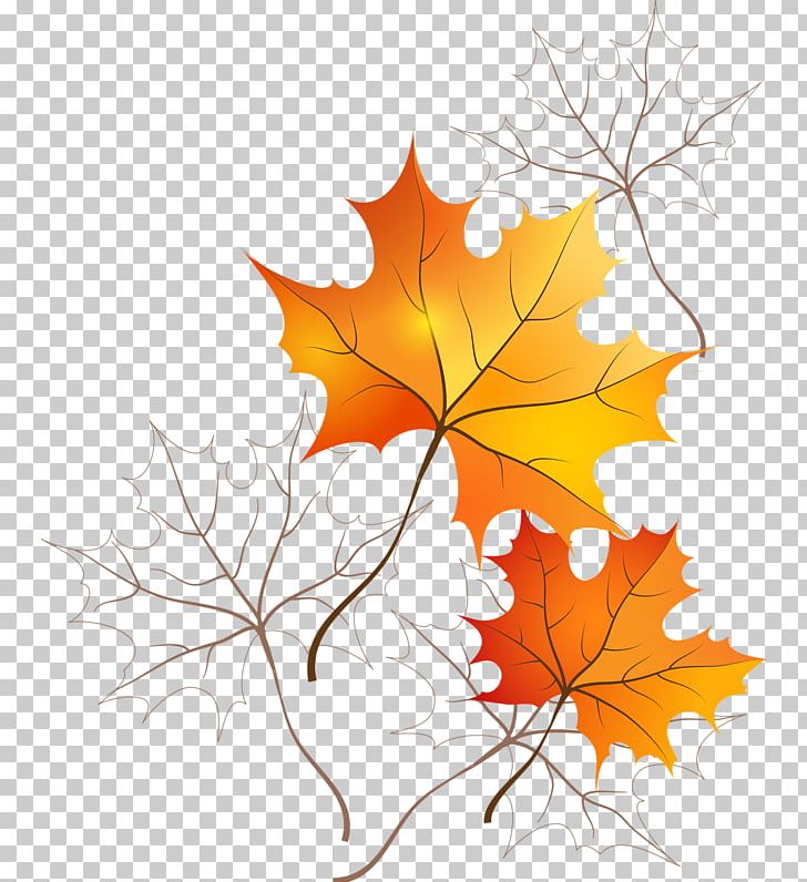 Frames Autumn Leaf Color Desktop PNG, Clipart, Autumn, Autumn Leaf Color, Branch, Color, Computer Wallpaper Free PNG Download
