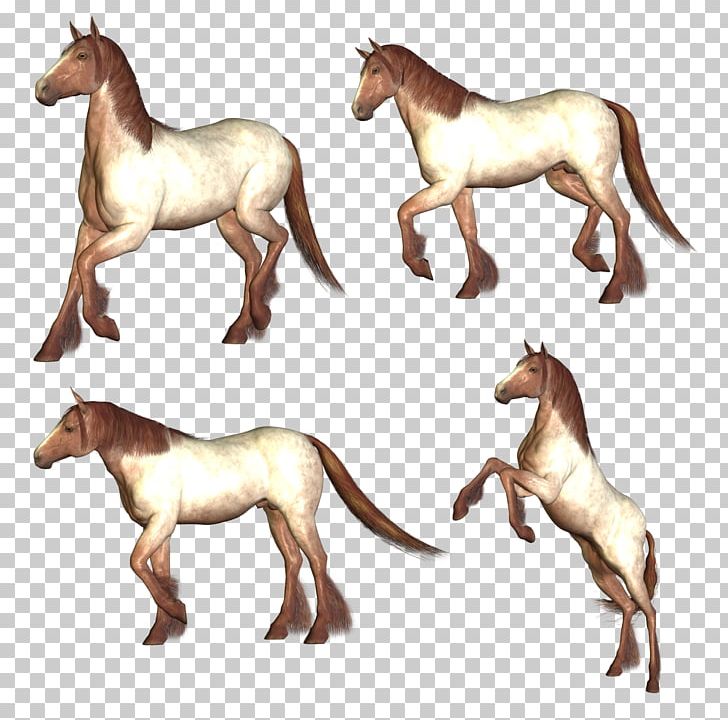 Morgan Horse Hackney Pony PhotoScape PNG, Clipart, Animals, Animation, Colt, Download, Equus Free PNG Download