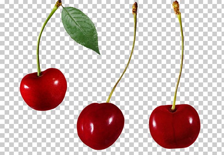 Sweet Cherry Malpighia Glabra Cerasus Auglis PNG, Clipart, Accessory Fruit, Acerola, Acerola Family, Auglis, Berry Free PNG Download