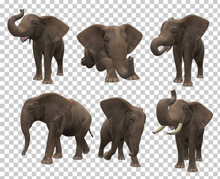 Asian Elephant African Bush Elephant PNG, Clipart, African Bush Elephant, Animals, Digital Image, Elephant, Elephant Family Free PNG Download