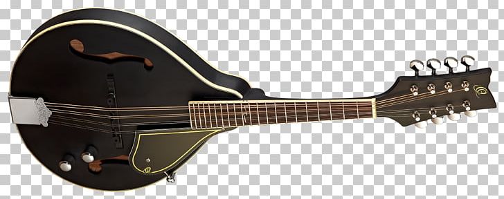 Cavaquinho Mandolin Electric Guitar Tiple Bridge PNG, Clipart, Acoustic Electric Guitar, Acousticelectric Guitar, Acoustic Guitar, Bridge, Cava Free PNG Download