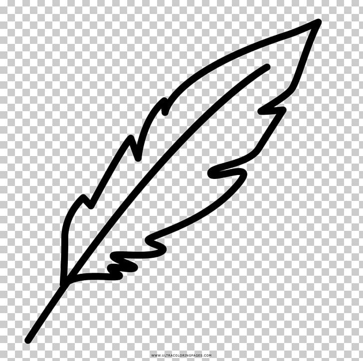 Drawing Coloring Book Painting Feather PNG, Clipart, Angle, Area, Art, Artwork, Ausmalbild Free PNG Download