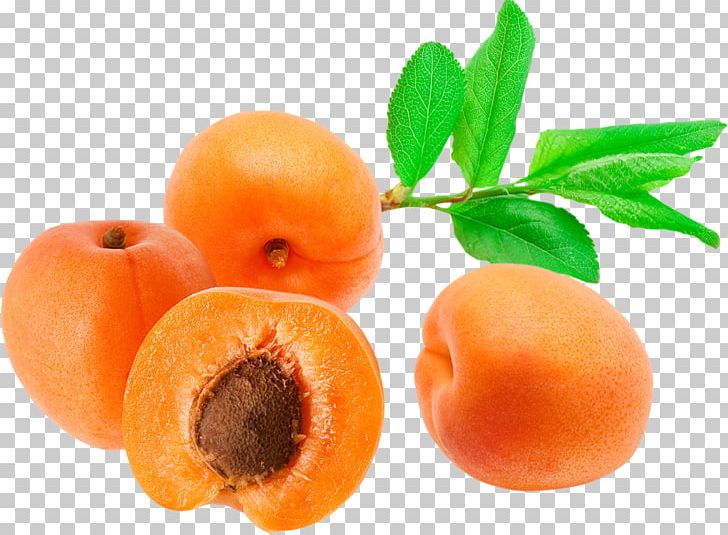 Fruit Food Apricot Vegetarian Cuisine Painting PNG, Clipart, Apricot, Dessert, Diet Food, Drawing, Food Free PNG Download