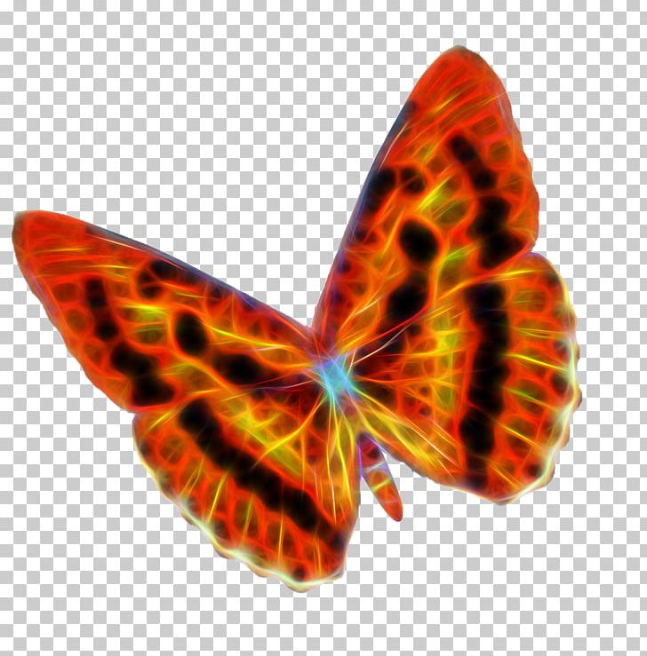 Butterfly Flame Moth PNG, Clipart, Black, Black Lines, Blue Butterfly, Butterflies, Butterfly Group Free PNG Download