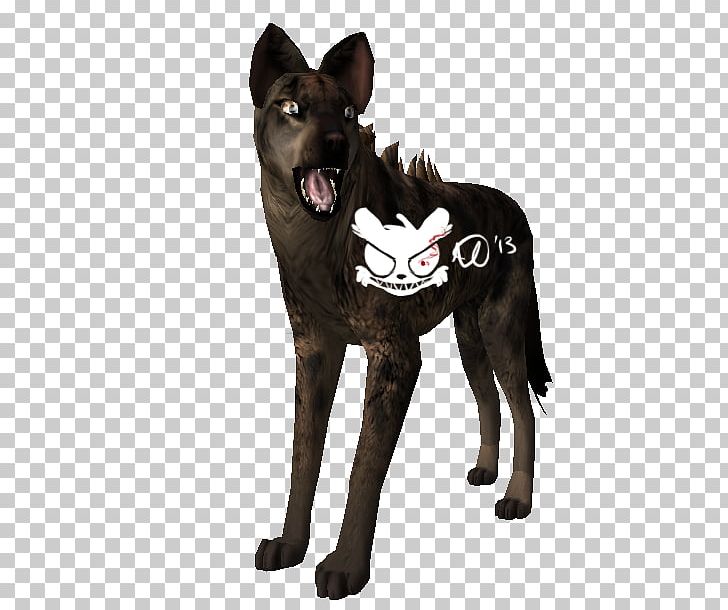 Dog Breed Kunming Wolfdog Australian Kelpie Leash Snout PNG, Clipart, Australian Kelpie, Breed, Carnivoran, Dog, Dog Breed Free PNG Download