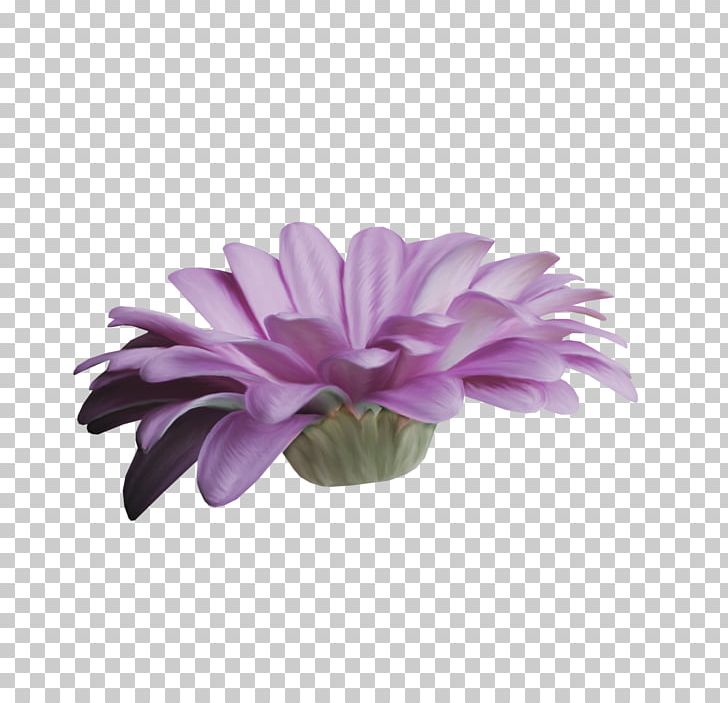 Lavender Lilac Violet Purple Flower PNG, Clipart, Chrysanthemum, Chrysanths, Comic, Common Daisy, Daisy Family Free PNG Download