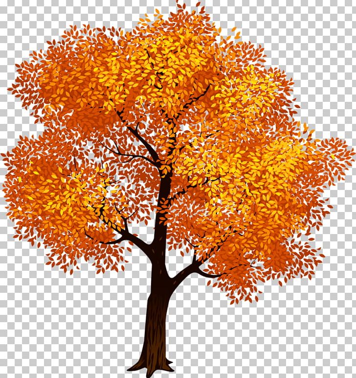 Tree English Oak PNG, Clipart, Autumn, Branch, Document, Download, English Oak Free PNG Download