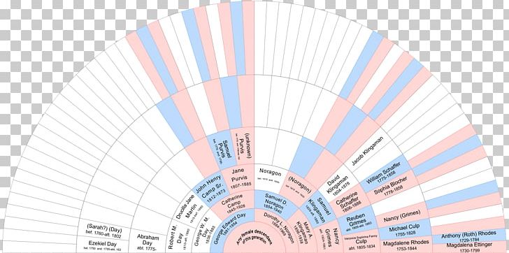 X Chromosome Autosome Y Chromosome Gene PNG, Clipart, Autosome, Brand, Chromosome, Dna Day, Father Free PNG Download