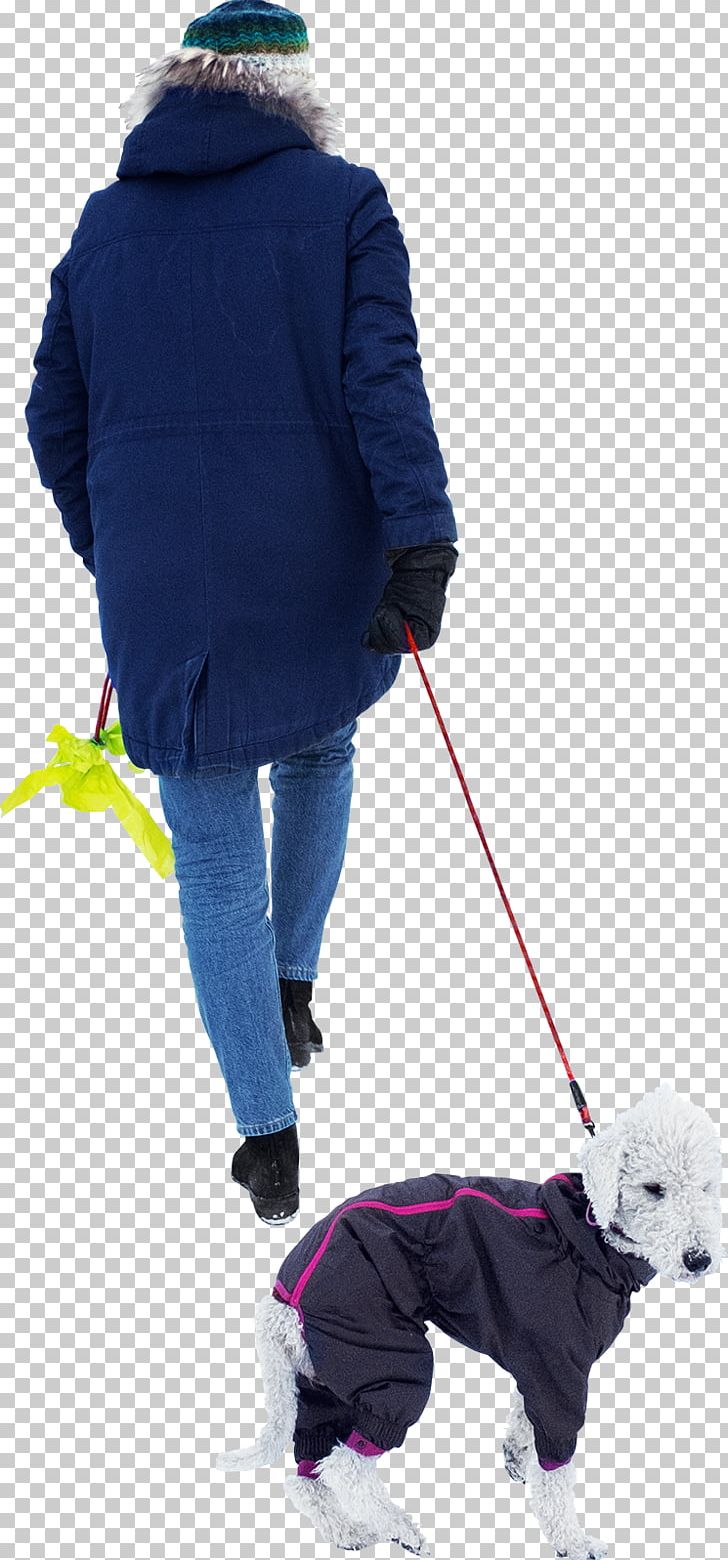 Dog Walking Leash PNG, Clipart, Animals, Bicycle, Cat People And Dog People, Child, Dog Free PNG Download