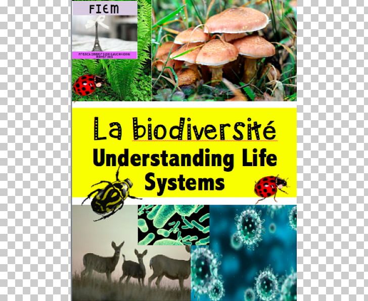 Education Biology Student Biodiversity Sixth Grade PNG, Clipart, Advertising, Biodiversity, Biology, Ecosystem, Education Free PNG Download