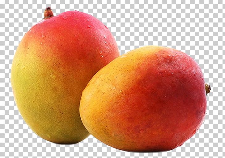 Mango Fruit PNG, Clipart, Alphonso, Apple, Apricot, Computer Icons, Data Free PNG Download