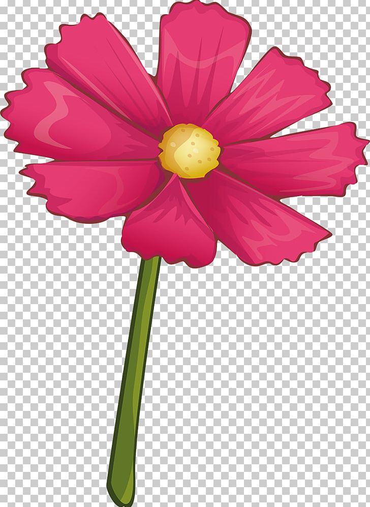 Cut Flowers Plant Stem Magenta Petal Herbaceous Plant PNG, Clipart, Cosmos, Cut Flowers, Family, Flora, Flower Free PNG Download