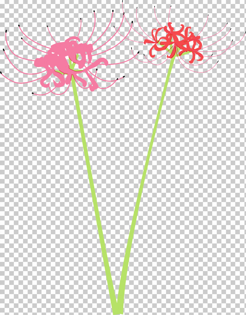 Flower Pink Plant Cut Flowers Pedicel PNG, Clipart, Cut Flowers, Flower, Hurricane Lily, Paint, Pedicel Free PNG Download