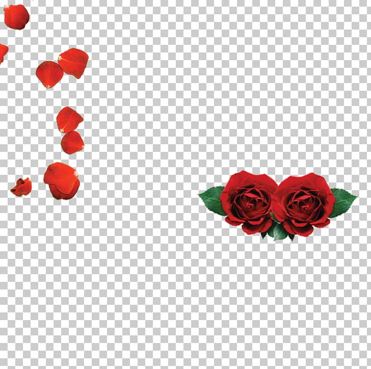 Garden Roses Beach Rose Petal Red PNG, Clipart, Clarins, Creative, Creative Valentines Day, Day, Decoration Free PNG Download