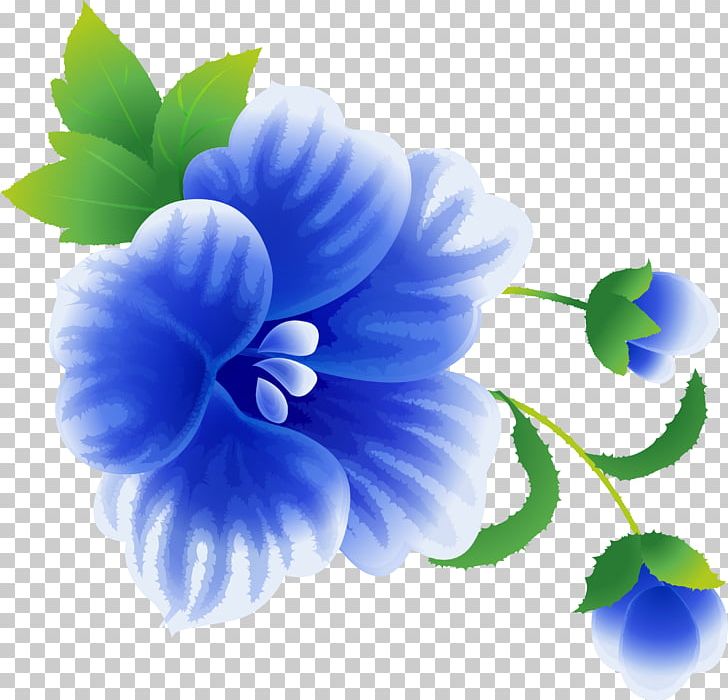 Flower Love Petal .de PNG, Clipart, Affection, Annual Plant, Blog, Blue, Blue Flowers Free PNG Download