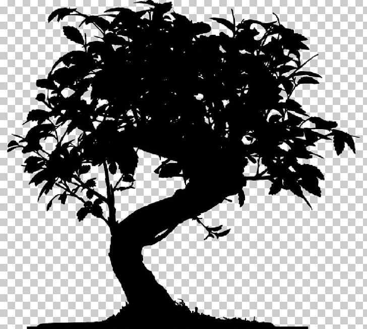 Twig Sticker Wall Decal Bonsai Tree PNG, Clipart, Black And White, Bonsai, Bonsai Tree, Branch, Debt Free PNG Download