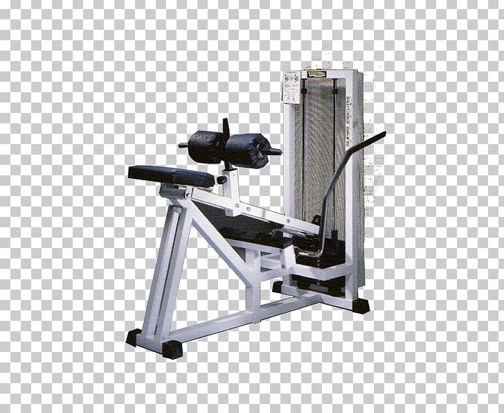 Weightlifting Machine Fitness Centre The Verde Sport Di Guerriero Ornella Technogym PNG, Clipart, Calf, Catalog, Exercise Equipment, Exercise Machine, Fitness Centre Free PNG Download