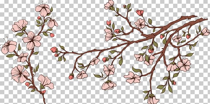 Flower Blossom Apples Drawing Cerasus PNG, Clipart, Apple, Apples, Art, Blossom, Branch Free PNG Download