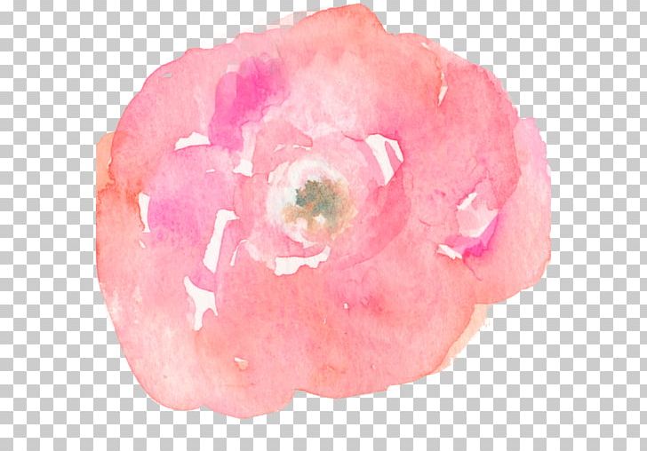 Watercolour Flowers Bali Dream Wedding Watercolor Painting Gift PNG, Clipart, Canvas, Colorful, Flower, Flowering Plant, Flowers Free PNG Download