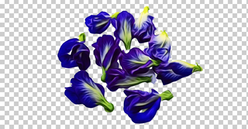 Cut Flowers Violet Cobalt Blue / M Petal Cobalt Blue / M PNG, Clipart, Biology, Cut Flowers, Flower, Paint, Petal Free PNG Download