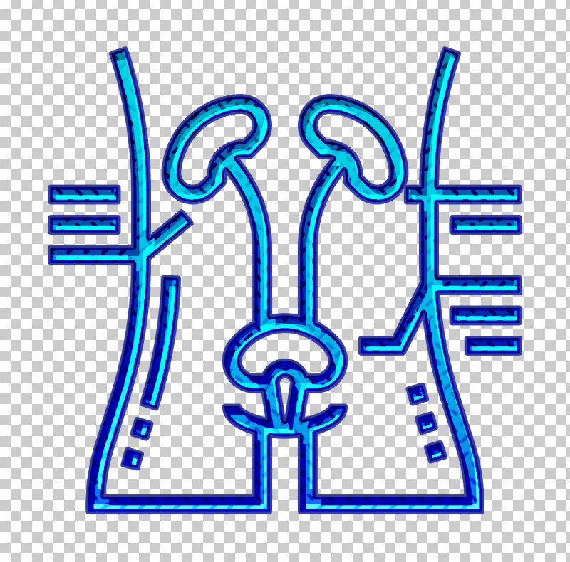 Health Checkups Icon Kidney Icon Blood Icon PNG, Clipart, Architecture, Blood Icon, Health, Health Checkups Icon, Hong Duc Hospital Free PNG Download