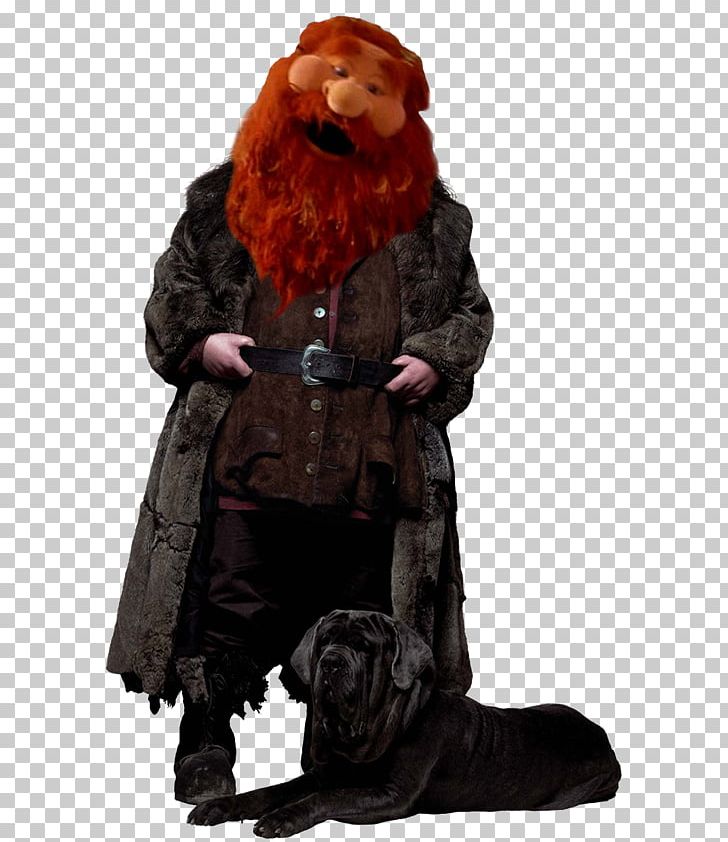 Hermione Granger Rubeus Hagrid Ron Weasley James Potter Lucius Malfoy PNG, Clipart, Albus Dumbledore, Character, Comic, Costume, Fictional Character Free PNG Download