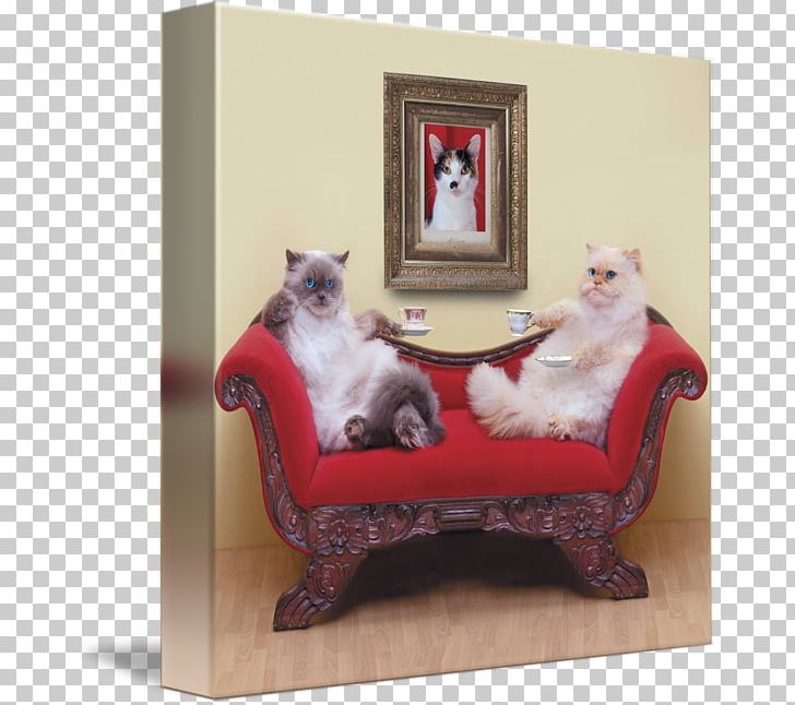 Cat Poster Kitten Tea Art PNG, Clipart, Animals, Art, Artist, Box, Canvas Free PNG Download
