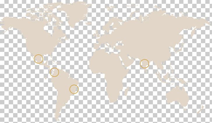 World Political Map World Map Globe PNG, Clipart, Arabica Coffee, Blank Map, Globe, Map, Mapa Polityczna Free PNG Download