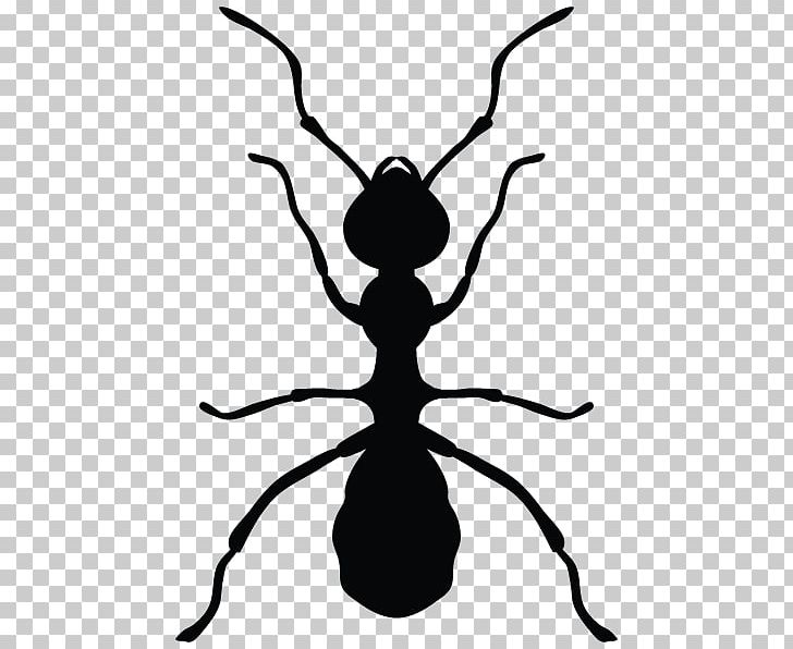 Ant Insecticide Pest Control PNG, Clipart, Animals, Ant, Artwork, Bed Bug, Black And White Free PNG Download