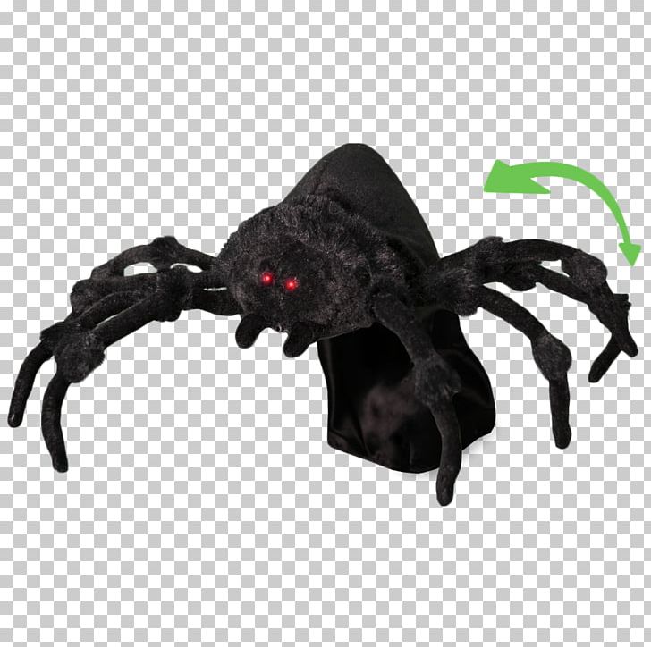 Jumping Spider Halloween Widow Spiders Noble False Widow PNG, Clipart, Arthropod, Halloween, Halloween Film Series, Holiday, Insects Free PNG Download