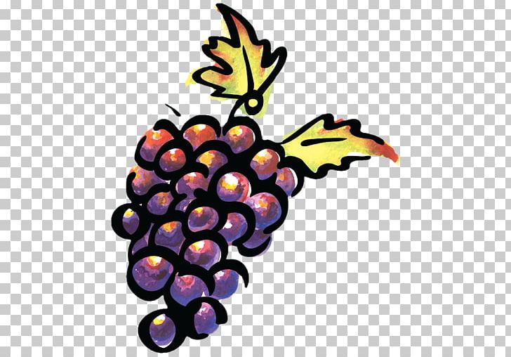Pinot Noir Sonoma Valley Wine Grape Paso Robles PNG, Clipart, Alcoholic Drink, Artwork, Common Grape Vine, Enotourism, Flowering Plant Free PNG Download