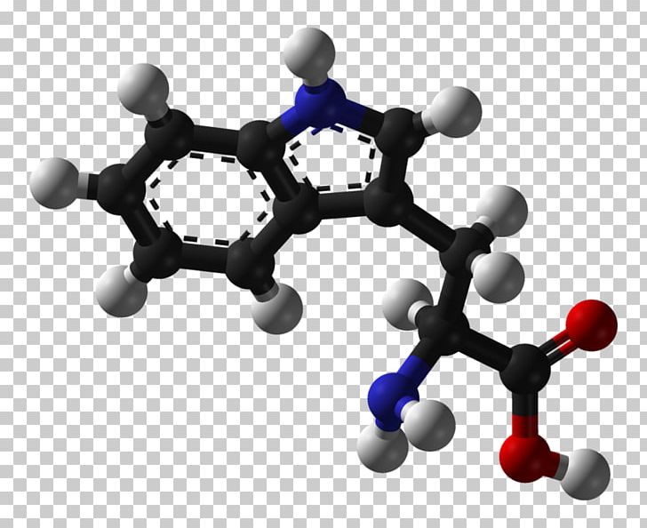 Tryptophan Amino Acid Phenylalanine Stereoisomerism PNG, Clipart, 5hydroxytryptophan, Acid, Amino Acid, Aromatic Amino Acid, Body Jewelry Free PNG Download