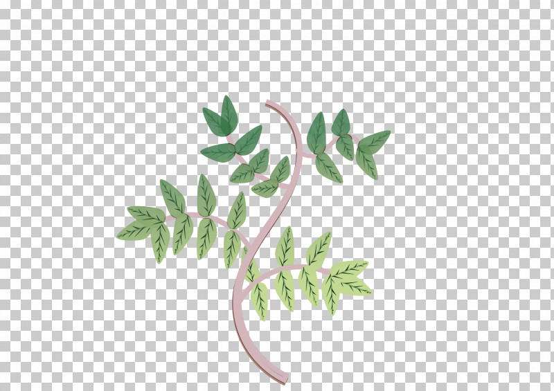 Leaf Plant Stem Twig Tree Meter PNG, Clipart, Biology, Leaf, Meter, Plant, Plant Stem Free PNG Download