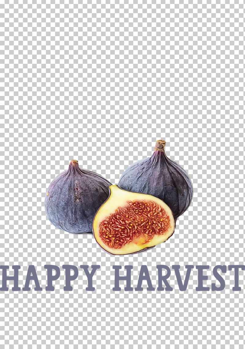Superfood Ingredient Fruit PNG, Clipart, Fruit, Happy Harvest, Harvest Time, Ingredient, Paint Free PNG Download