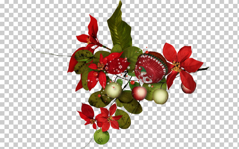 Holly PNG, Clipart, Anthurium, Berry, Flower, Fruit, Holly Free PNG Download
