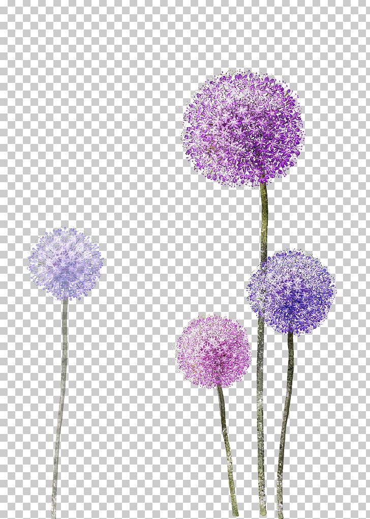 OPPO F3 Dandelion PNG, Clipart, Dandelion Flower, Dandelions, Dandelion Seeds, Decoration, Download Free PNG Download