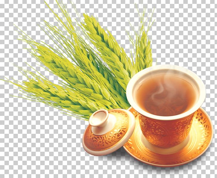 Barley Tea Mate Cocido Wheat PNG, Clipart, Barley, Buckle, Caffeine, Carrier Oil, Cereal Free PNG Download
