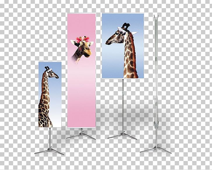 Giraffe Advertising PNG, Clipart, Advertising, Flat Frame, Giraffe, Giraffidae Free PNG Download