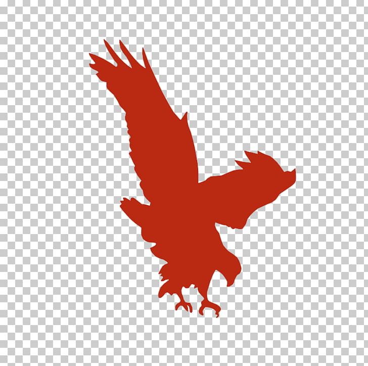Logo PNG, Clipart, Audiobook, Beak, Belief, Bird, Bird Of Prey Free PNG Download