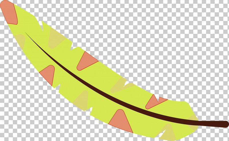 Leaf Angle Line Yellow Meter PNG, Clipart, Angle, Biology, Cartoon Feather, Leaf, Line Free PNG Download