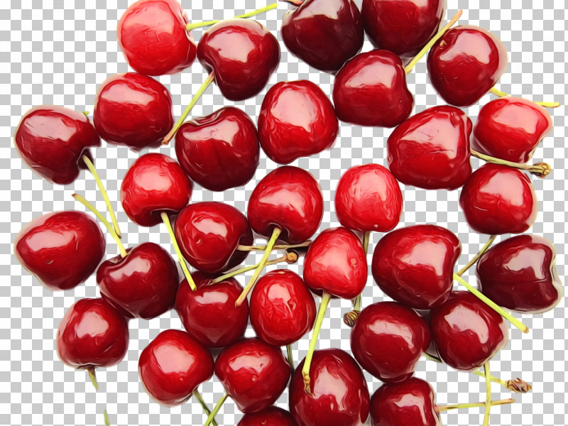 Cranberry Lingonberry Natural Foods Berry Cranberry PNG, Clipart, Berry, Cherry, Cranberry, Fruit, Lingonberry Free PNG Download