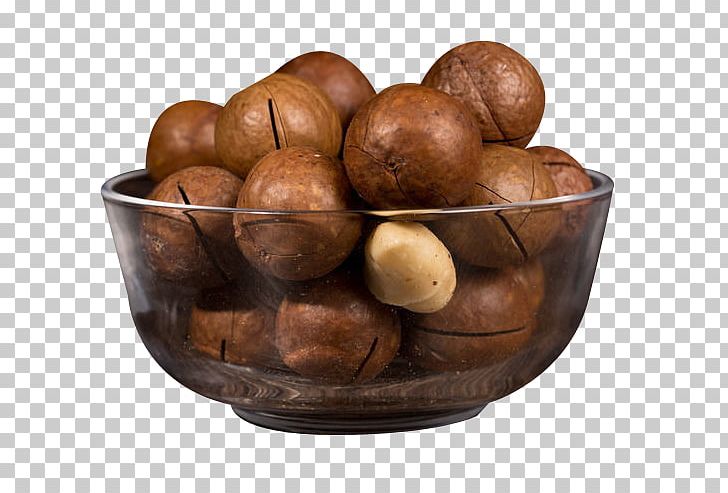 Australian Cuisine Macadamia Nut Walnut PNG, Clipart, Australian, Australian Flag, Australian Shepherd, Bowl, Brazil Nut Free PNG Download