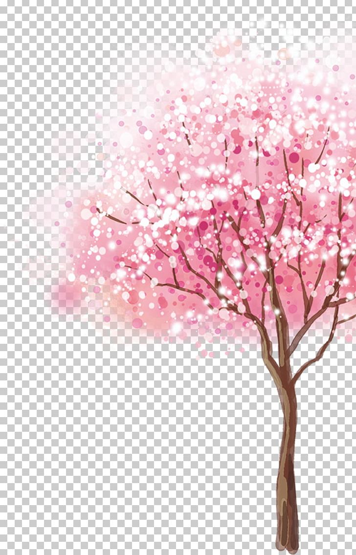 Cherry Blossom Cerasus Tree PNG, Clipart, Blossom, Branch, Cerasus, Cherry, Cherry Blossom Free PNG Download