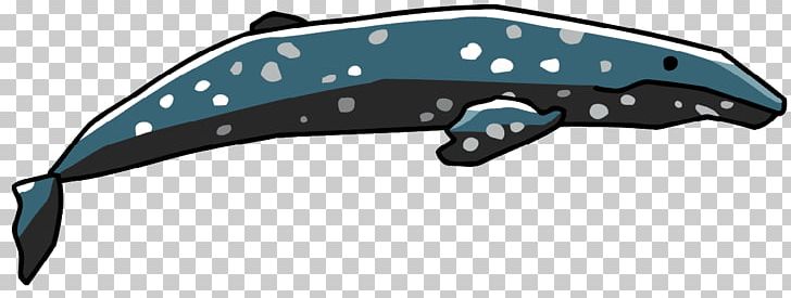 Dolphin Gray Whale Porpoise PNG, Clipart, Animals, Automotive Design, Baleen, Baleen Whale, Beluga Whale Free PNG Download
