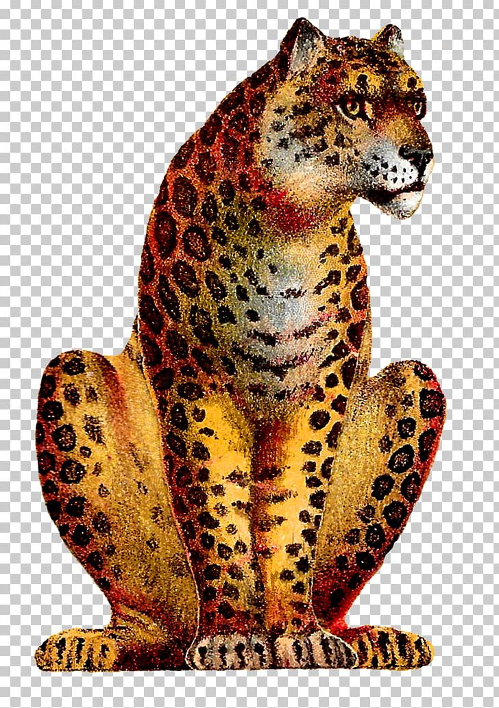 Leopard Cheetah Jaguar Circus PNG, Clipart, Animal Figure, Animals, Art, Art Animal, Big Cat Free PNG Download