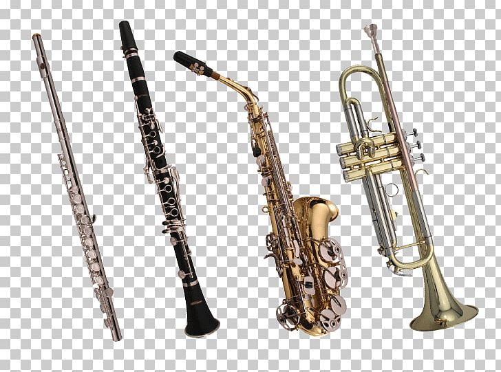 Musical Instruments Musical Ensemble Brass Instruments Concert Band PNG, Clipart, Baritone Saxophone, Brass Instrument, Family, Musical Ensemble, Musical Instrument Free PNG Download