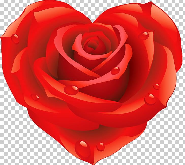 Rose Heart Flower Shape PNG, Clipart, Animation, Blue, Cartoon, Cut Flowers, Flower Free PNG Download