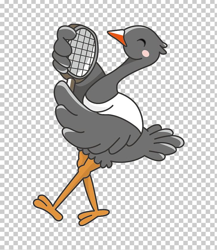 Common Ostrich Bird Animal Duck Goose PNG, Clipart, Anatidae, Animals, Art, Beak, Cartoon Free PNG Download