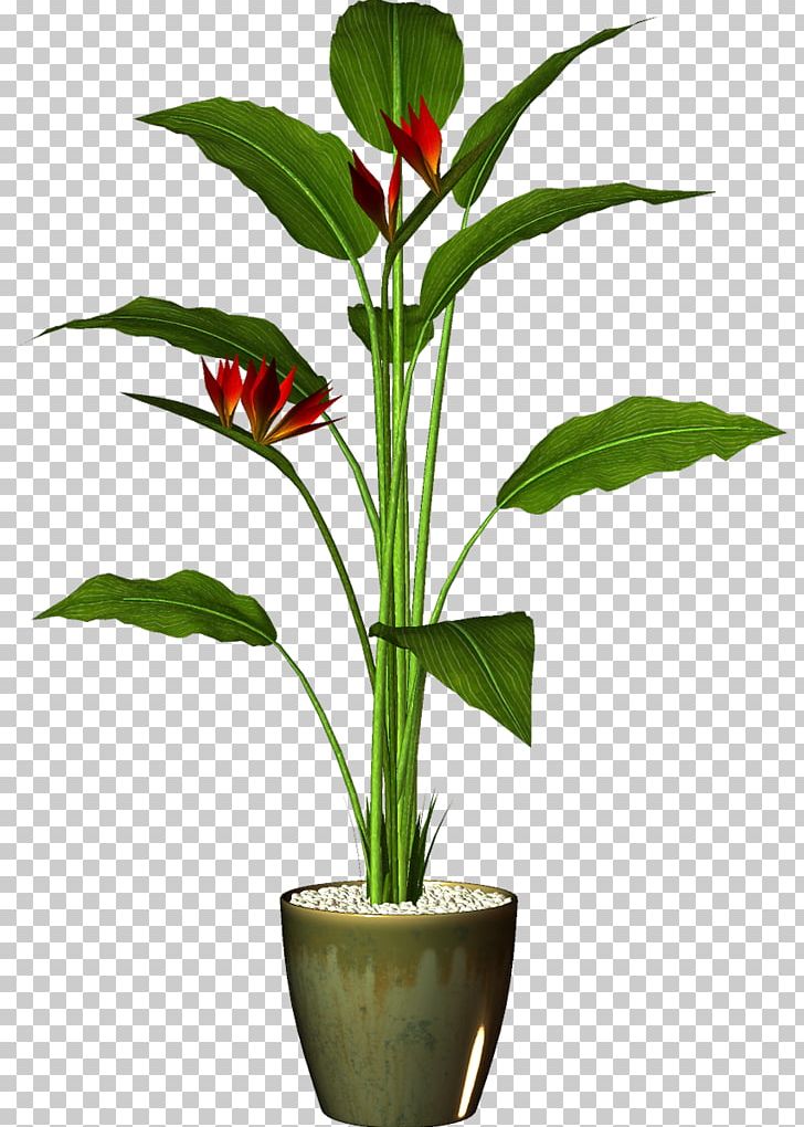 Flowerpot Houseplant Garden PNG, Clipart, Cactaceae, Flower, Flower Garden, Flowering Plant, Flowerpot Free PNG Download